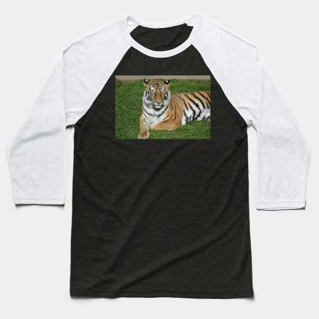 Tiger Baseball T-Shirt by MarieDarcy